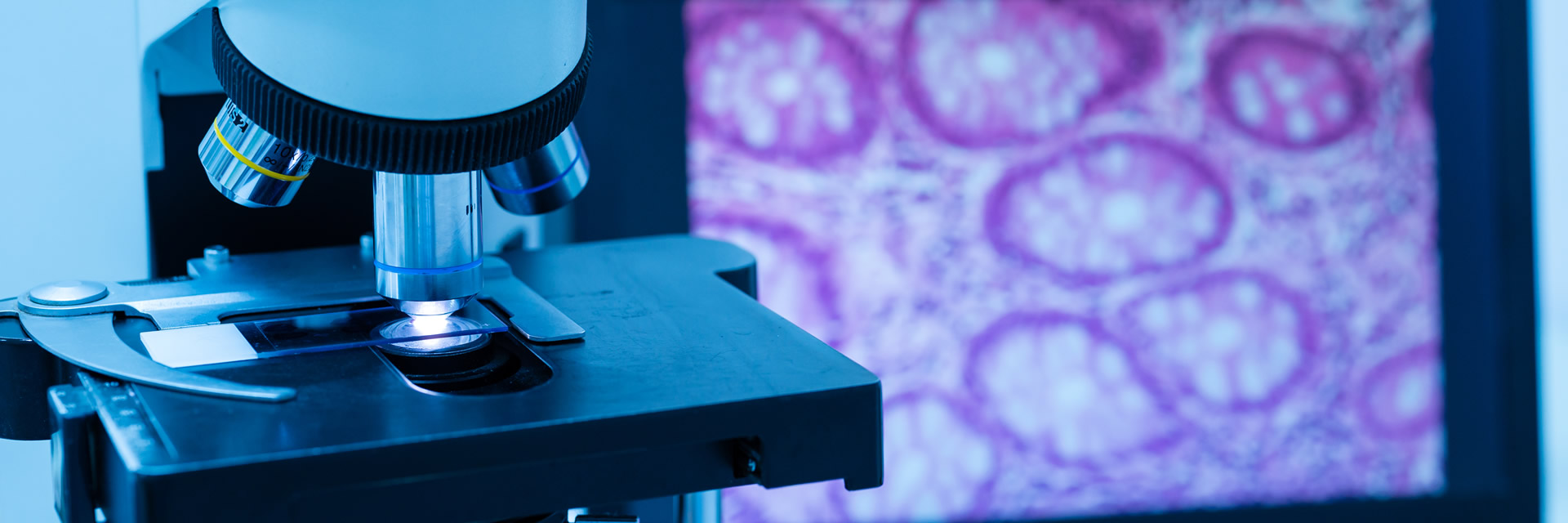 Oral Pathology Near Me Ensures Accurate Diagnosis and Effective Treatment